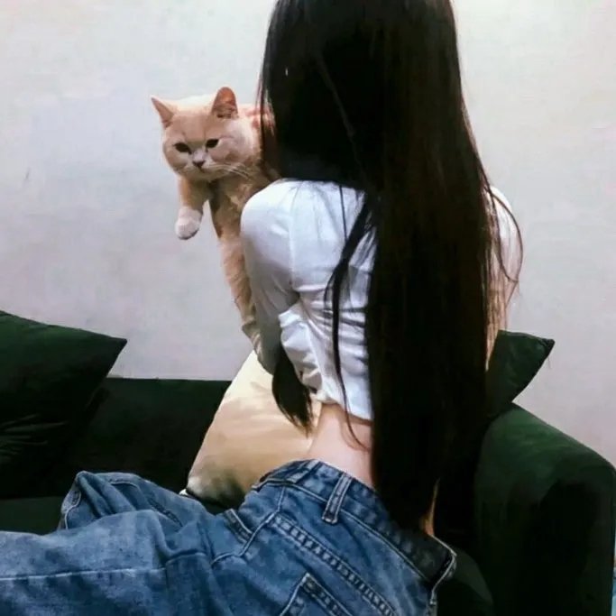 恋爱☆迁都